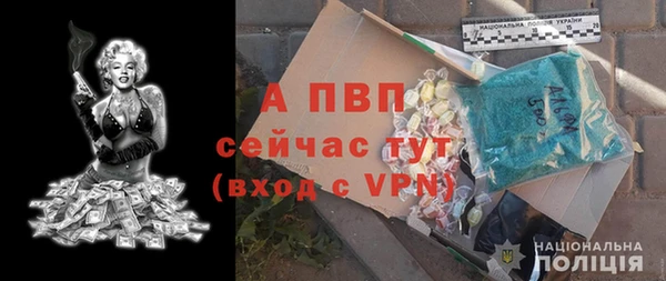 твердый Алексин