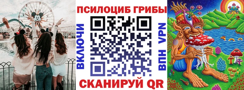 Галлюциногенные грибы Psilocybine cubensis  Белорецк 